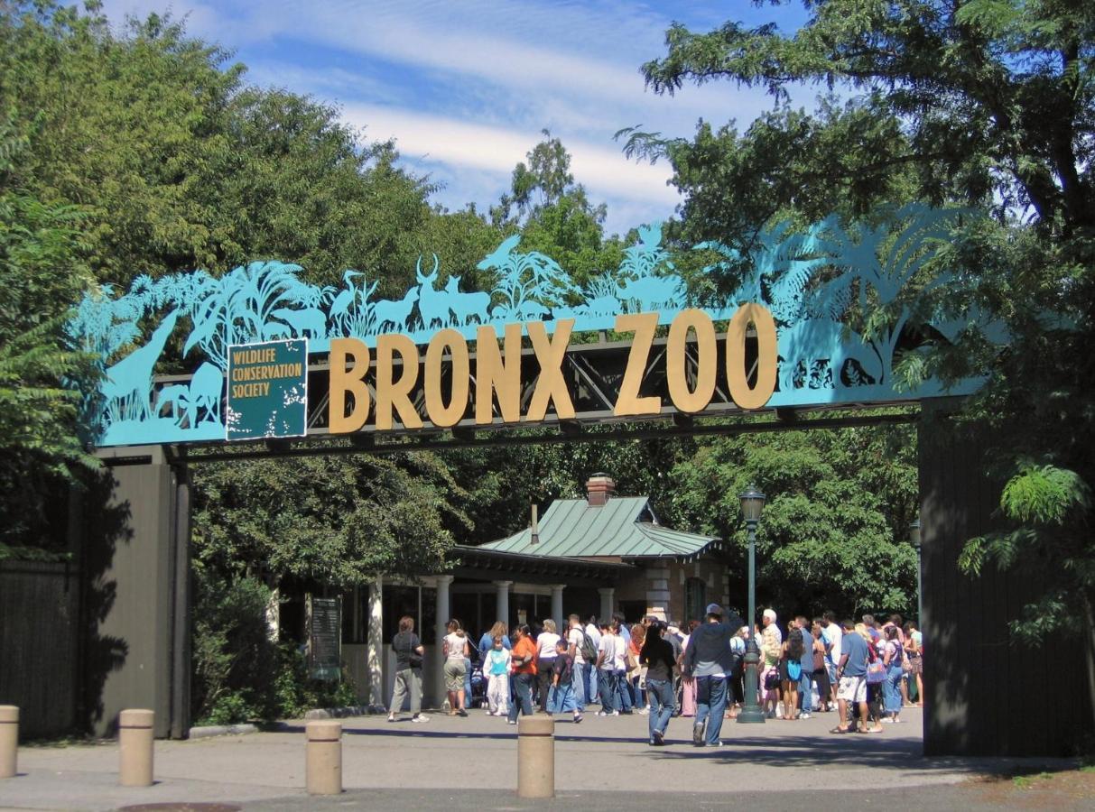 Apartamento King Size Bed Fast Wifi 278mbps Bronx Zoo 2 Miles